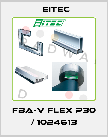 FBA-V FLEX P30 / 1024613 Eitec