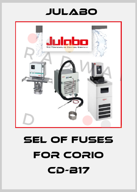 Sel of fuses for CORIO CD-B17 Julabo