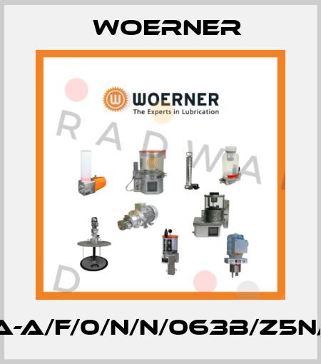 KFA-A/F/0/N/N/063B/Z5N/110 Woerner
