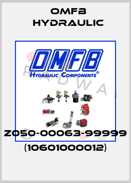 Z050-00063-99999 (10601000012) OMFB Hydraulic