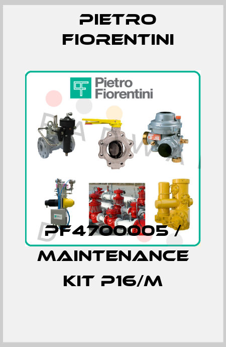 PF4700005 / Maintenance kit P16/M Pietro Fiorentini