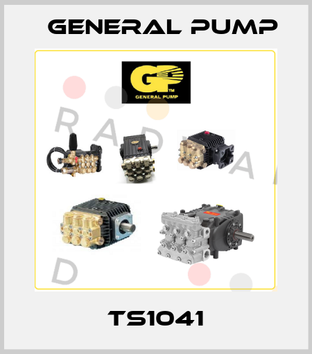 TS1041 General Pump