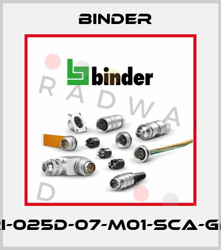 LPRI-025D-07-M01-SCA-GD-A1 Binder
