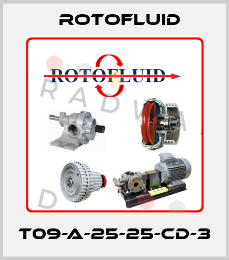 T09-A-25-25-CD-3 Rotofluid
