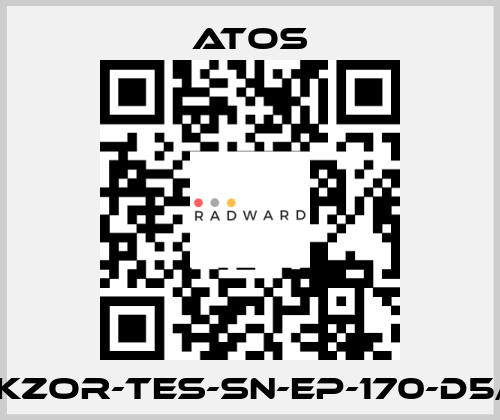 DKZOR-TES-SN-EP-170-D5/F Atos