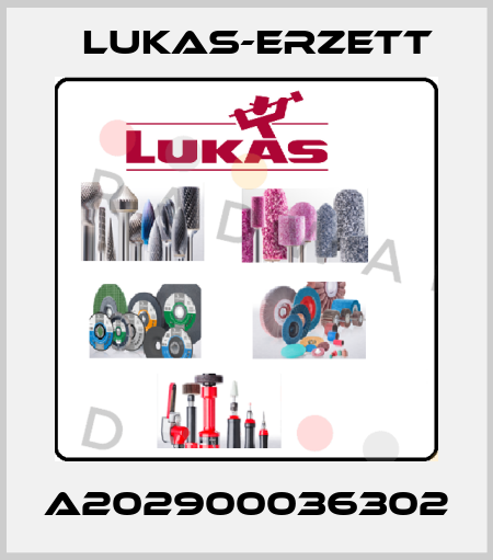 A202900036302 Lukas-Erzett