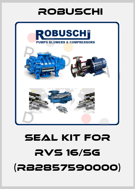 SEAL KIT FOR RVS 16/SG (RB2857590000) Robuschi