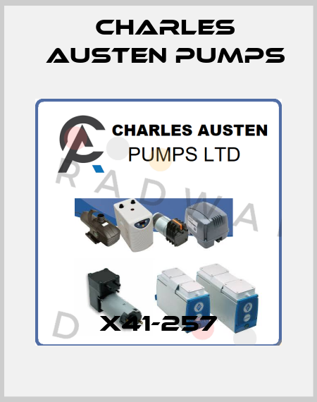X41-257 Charles Austen Pumps