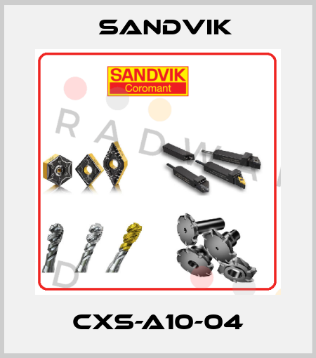 CXS-A10-04 Sandvik