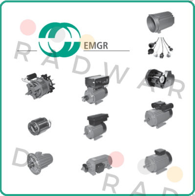 8206-1243-EMGR EMGR