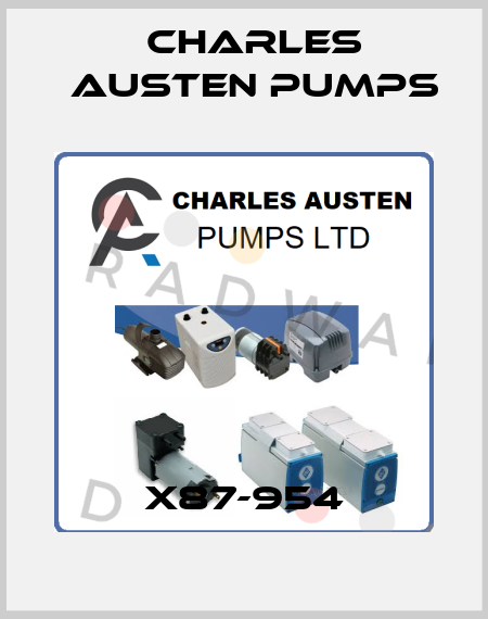 X87-954 Charles Austen Pumps