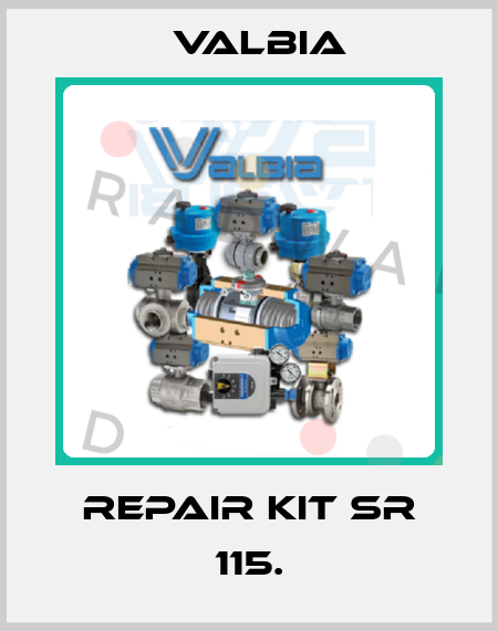 repair kit SR 115. Valbia