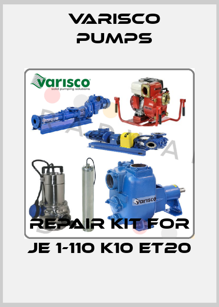 repair kit for JE 1-110 K10 ET20 Varisco pumps