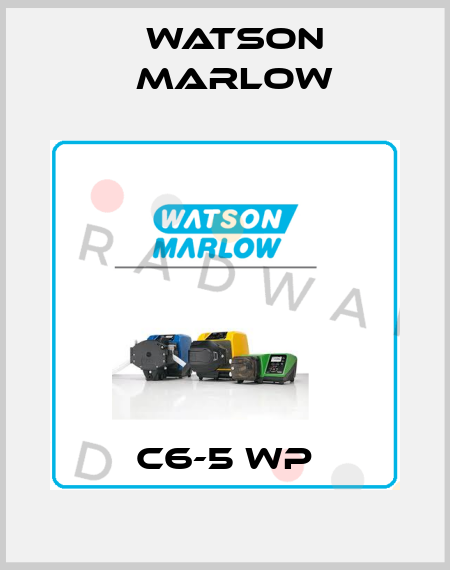 C6-5 WP Watson Marlow