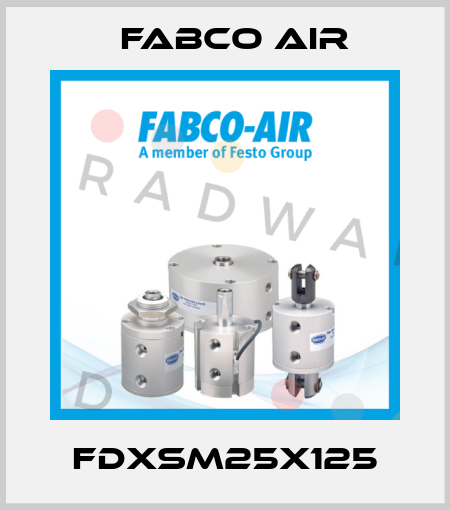 FDXSM25X125 Fabco Air