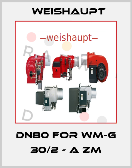 DN80 for WM-G 30/2 - A ZM Weishaupt