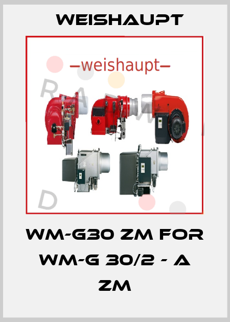 WM-G30 ZM for WM-G 30/2 - A ZM Weishaupt
