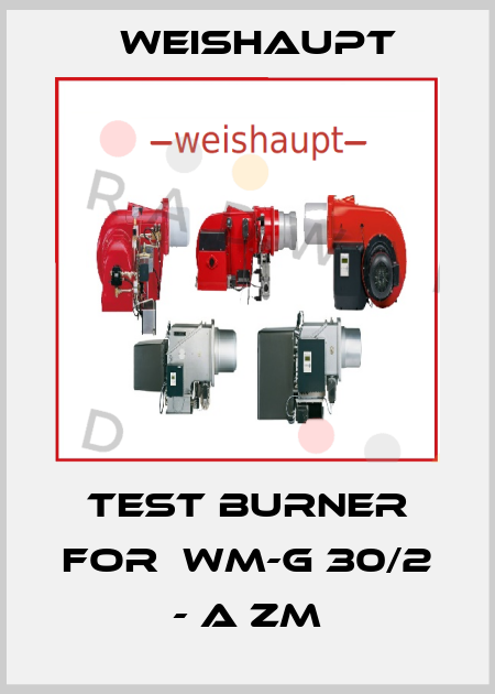 Test burner for  WM-G 30/2 - A ZM Weishaupt