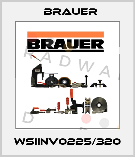 WSIINV0225/320 Brauer