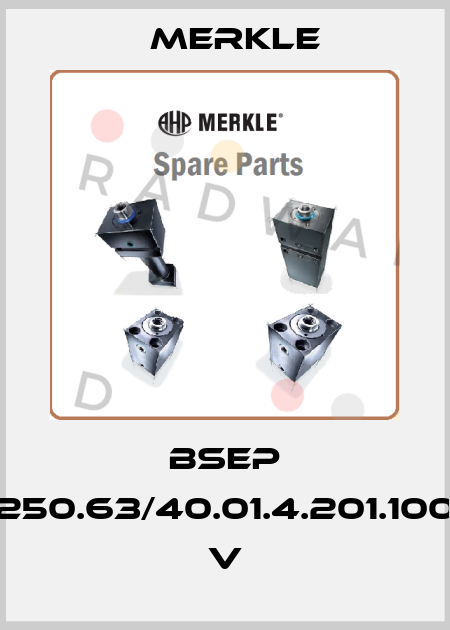 BSEP 250.63/40.01.4.201.100 V Merkle