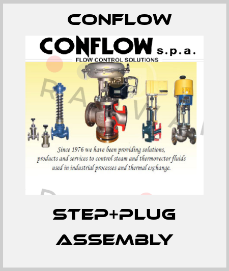 Step+plug assembly CONFLOW