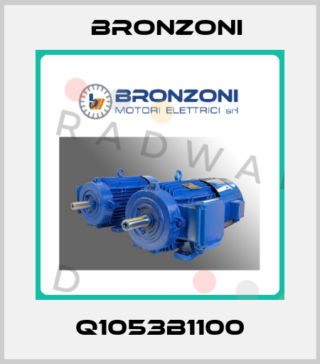 Q1053B1100 Bronzoni