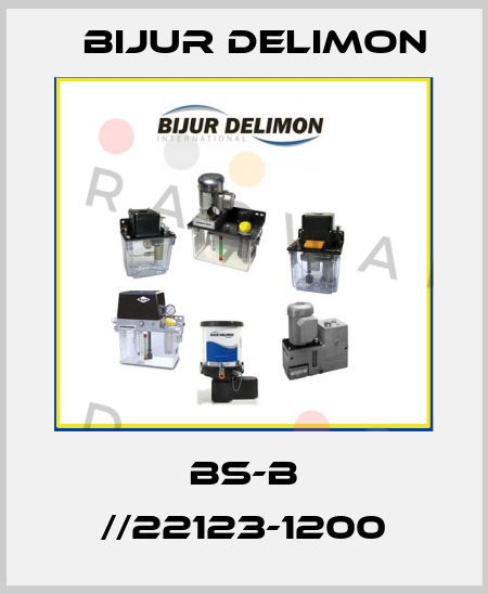 BS-B //22123-1200 Bijur Delimon