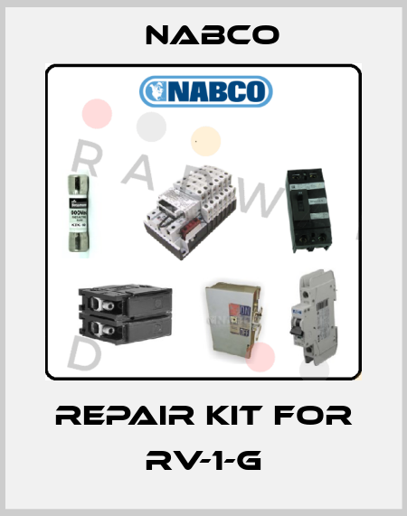 Repair kit for RV-1-G Nabco