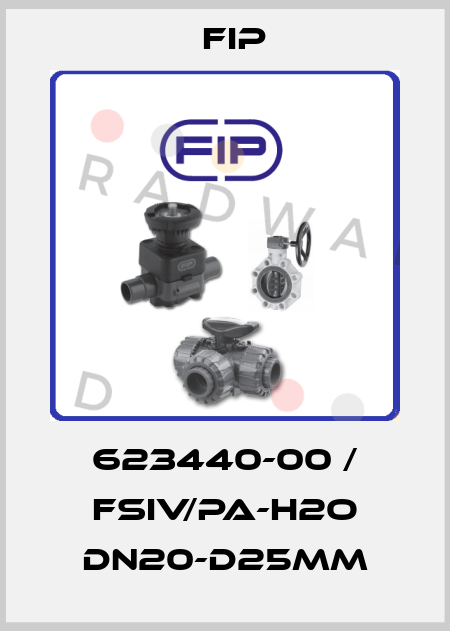 623440-00 / FSIV/PA-H2O DN20-D25mm Fip