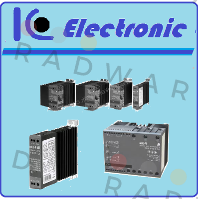 D10/CS IC Electronic (Eltwin)