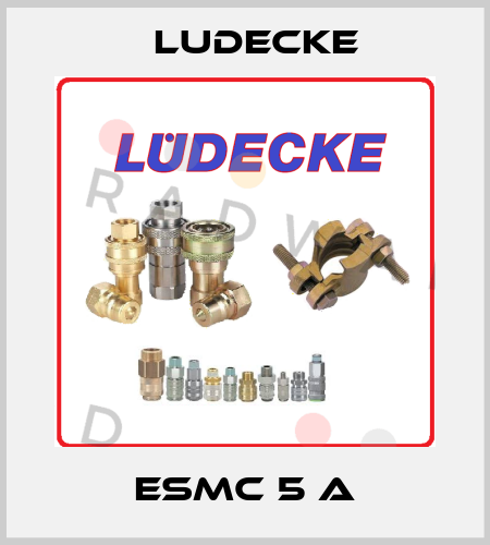 ESMC 5 A Ludecke