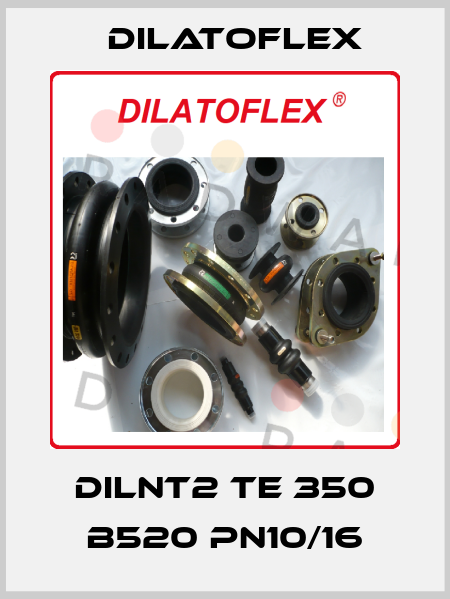 DILNT2 TE 350 B520 PN10/16 DILATOFLEX