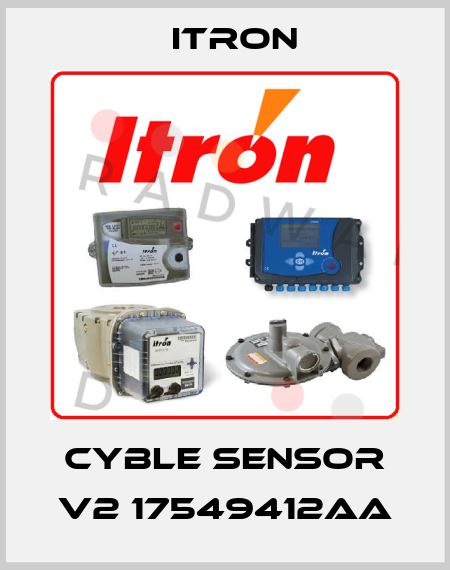 Cyble sensor V2 17549412AA Itron