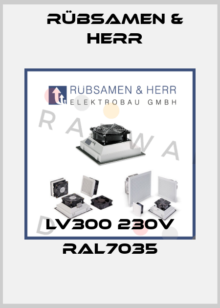 LV300 230V RAL7035 Rübsamen & Herr