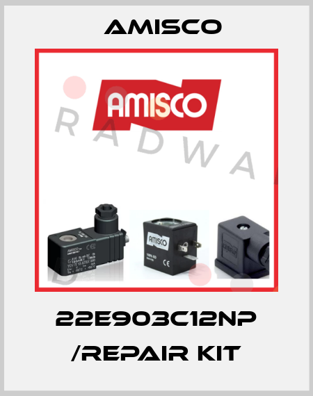 22E903C12NP /repair kit Amisco