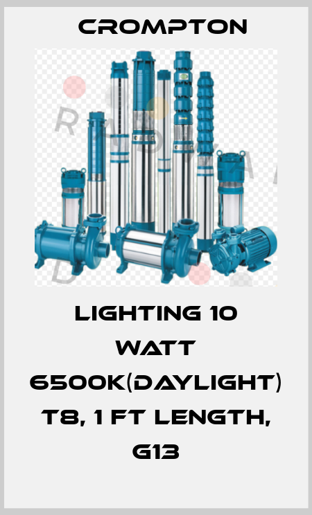 Lighting 10 Watt 6500K(Daylight) T8, 1 ft Length, G13 Crompton