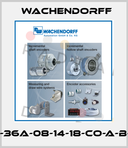 WDGA-36A-08-14-18-CO-A-B-0-0-L1 Wachendorff