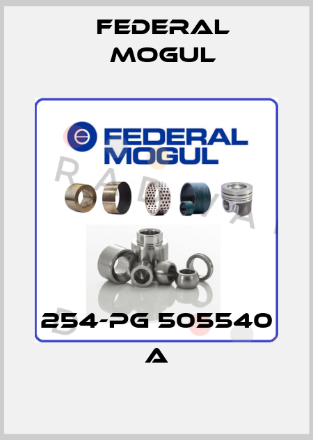 254-PG 505540 A Federal Mogul