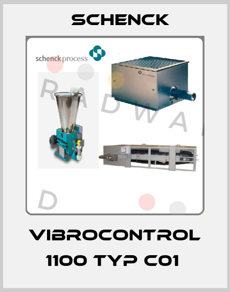 VIBROCONTROL 1100 TYP C01  Schenck