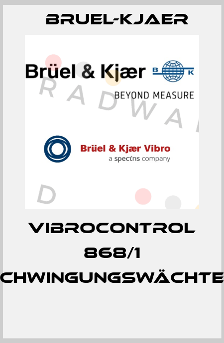 VIBROCONTROL 868/1 SCHWINGUNGSWÄCHTER  Bruel-Kjaer
