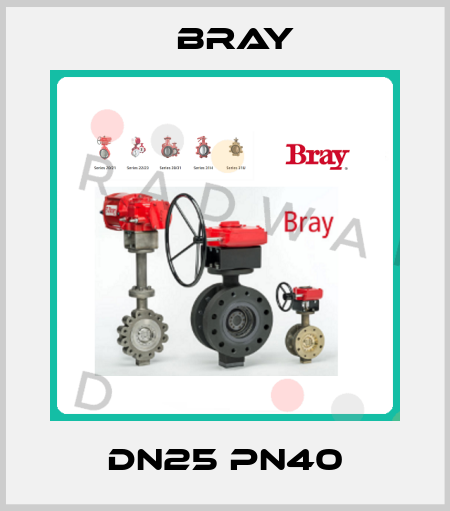 DN25 PN40 Bray