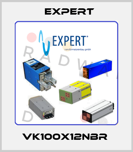 VK100X12NBR  Expert