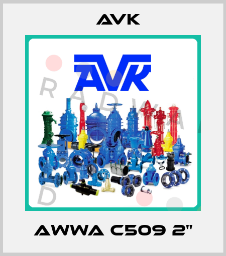 AWWA C509 2" AVK
