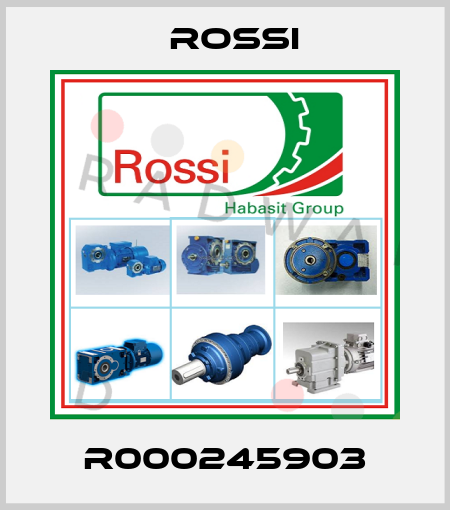 R000245903 Rossi