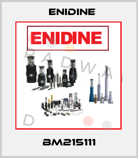 BM215111 Enidine