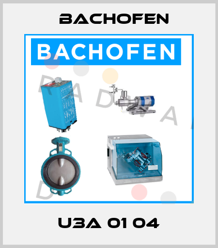 U3A 01 04 Bachofen