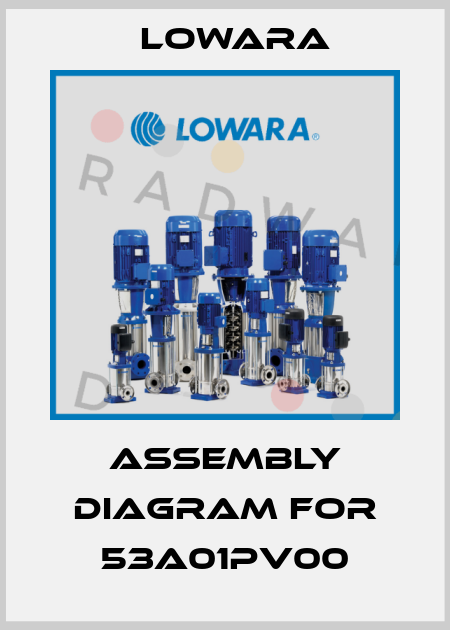 assembly diagram for 53A01PV00 Lowara