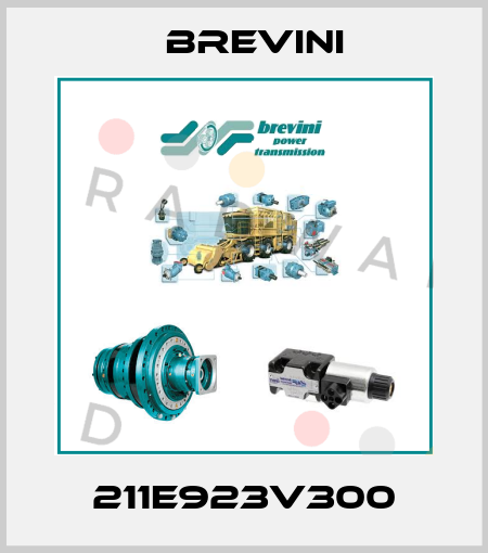 211E923V300 Brevini