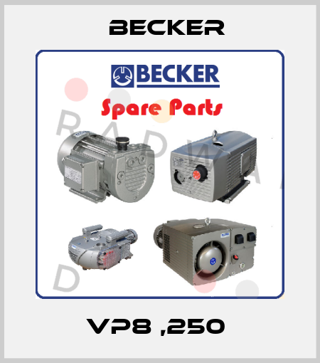 VP8 ,250  Becker