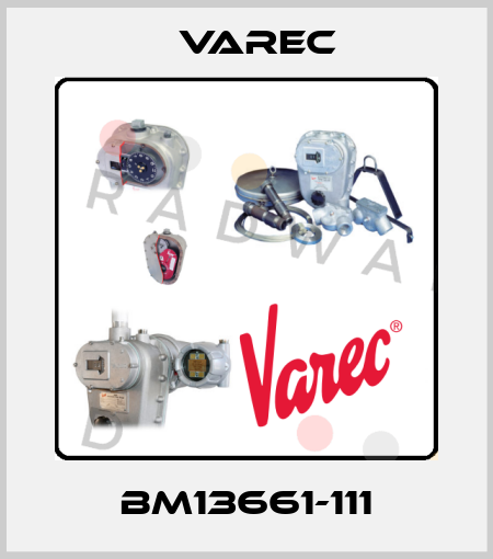 BM13661-111 Varec